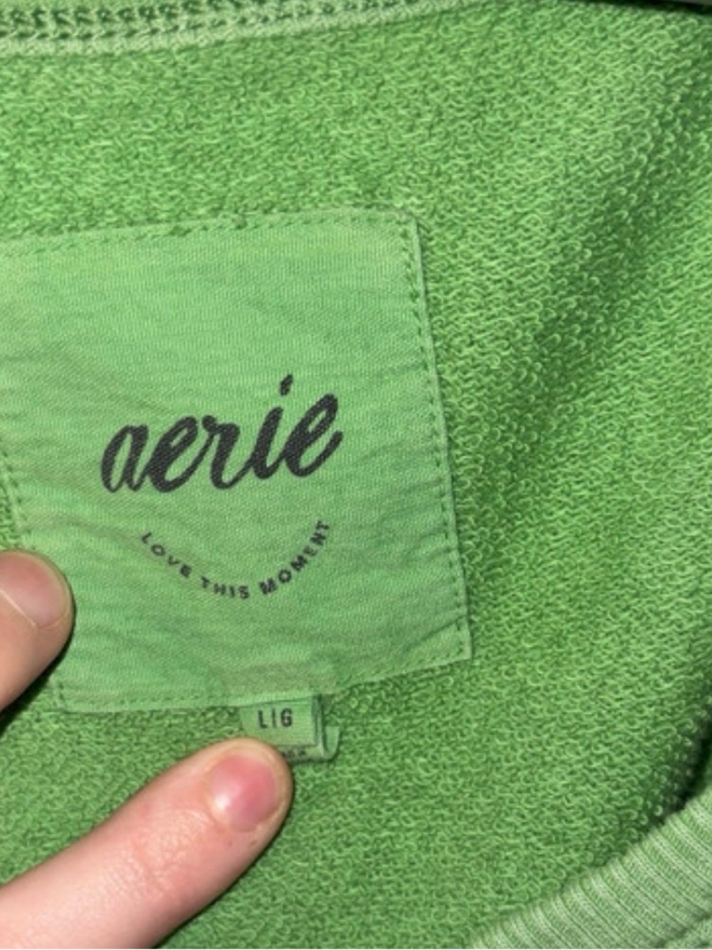 aerie Lime Green Terry Pullover - Picture 2 of 2